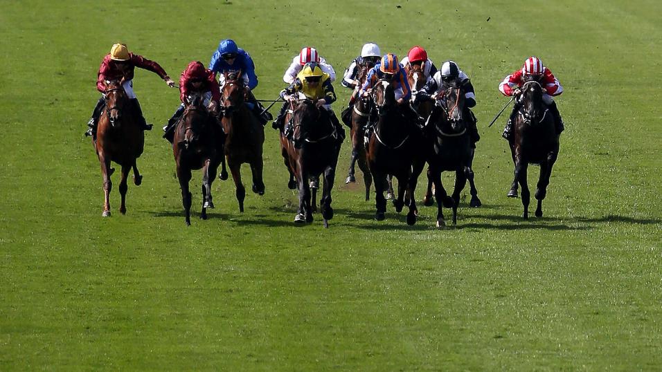 There is Flat racing from Newmarket on Friday evening